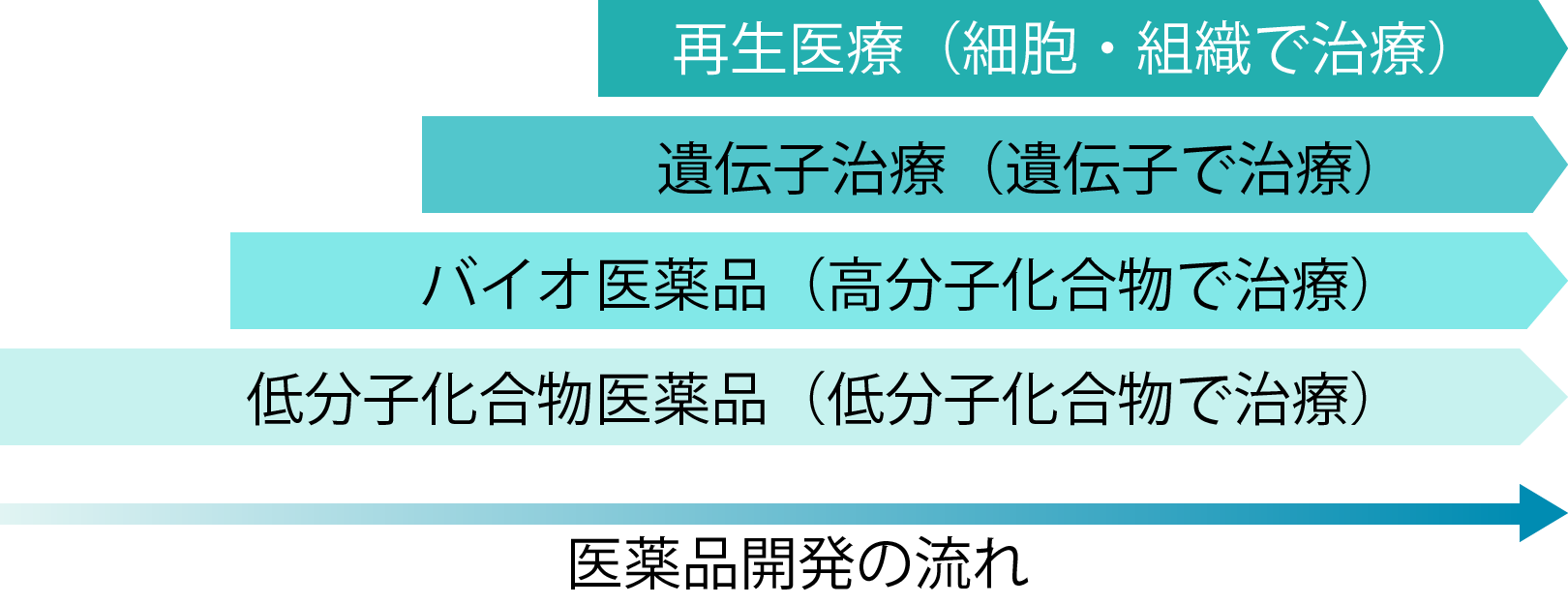医薬品開発の流れ