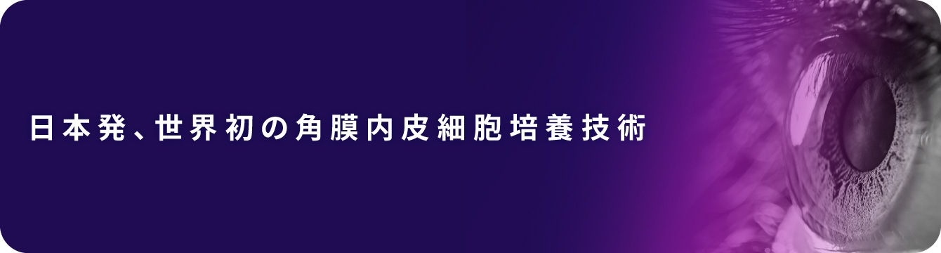 オーリオンバイオテック・ジャパン企業情報：日本発、世界初の角膜内皮細胞培養技術